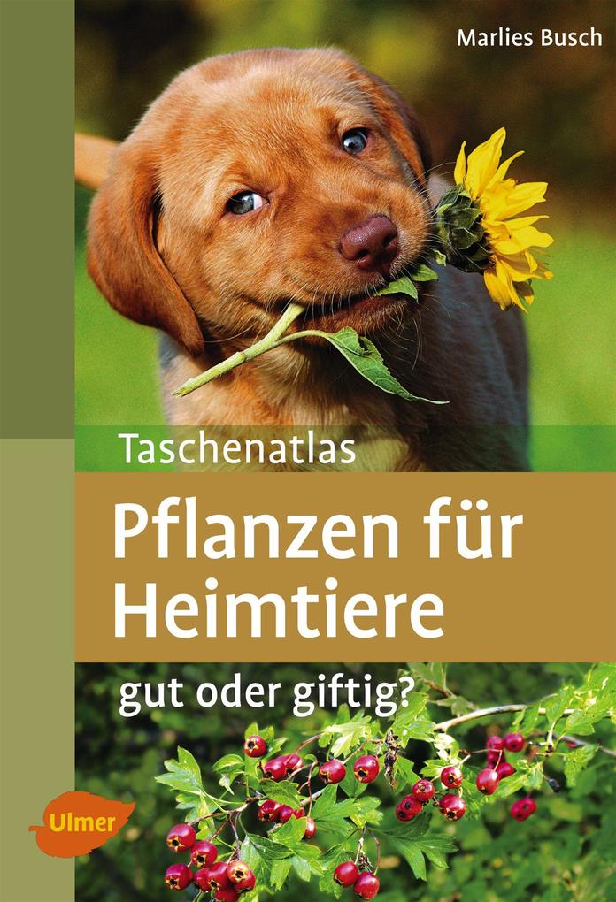 Ulmer Eugen Verlag Taschenatlas Pflanzen Für Heimtiere - Bild 6