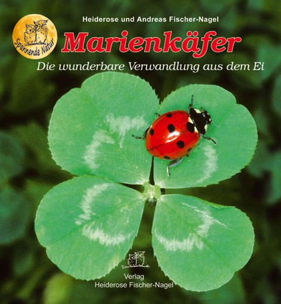 Marienkäfer Andreas Fischer-Nagel - Bild 5