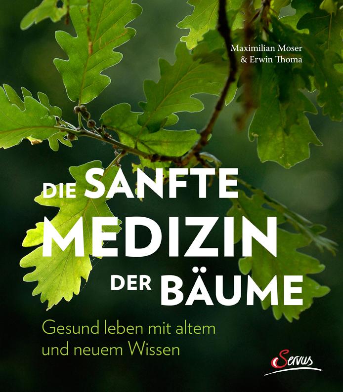 Die sanfte Medizin der Bäume Erwin Thoma - Bild 5