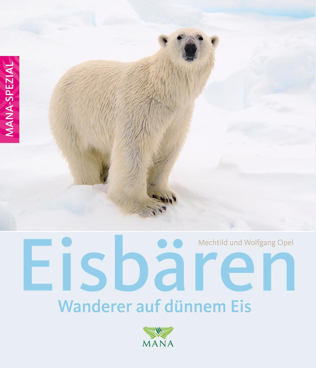 Mechtild Opel: Eisbären - Bild 4