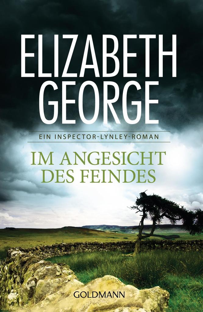 Im Angesicht des Feindes Elizabeth George - Bild 6