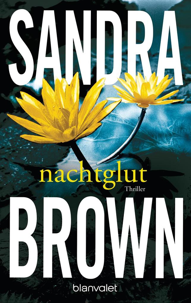 Nachtglut: Thriller - Atemlose Spannung trifft auf prickelnde Romantik – der Pageturner der SPIEGEL-Bestsellerautorin! - Bild 4