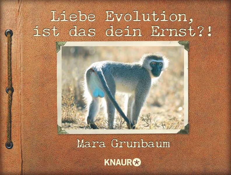 Knaur Taschenbuch Liebe Evolution Ist Das Dein Ernst?! - Bild 4