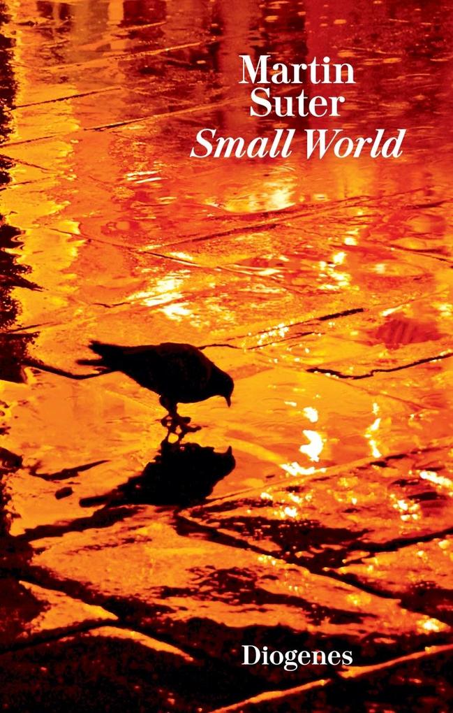 Diogenes Verlag Ag Small World - Bild 5