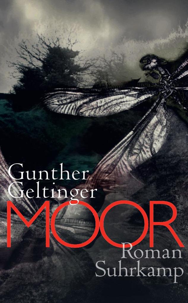 Gunther Geltinger: Moor - Taschenbuch - Bild 4