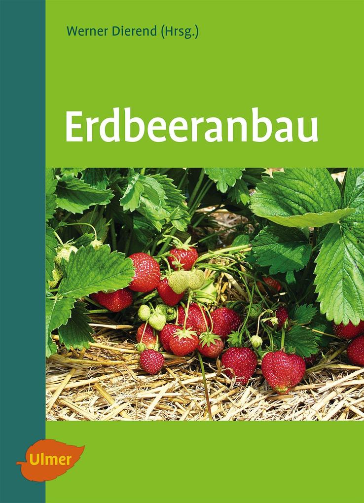 Erdbeeranbau - Werner Dierend/ Ralf Jung/ Tilman Keller/ Erika Krüger-Steden/ Ludger Linnemannstöns