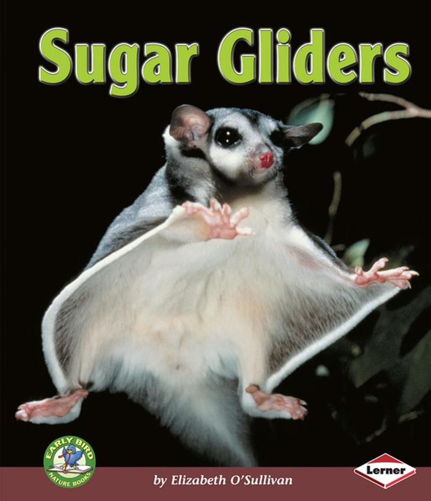 Sugar Gliders als eBook von Elizabeth O´Sullivan - Lerner Publishing Group