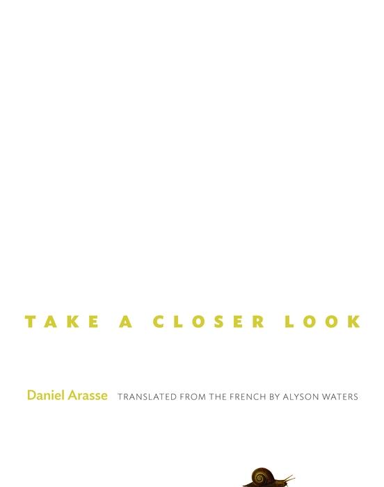 Take a Closer Look - Daniel Arasse
