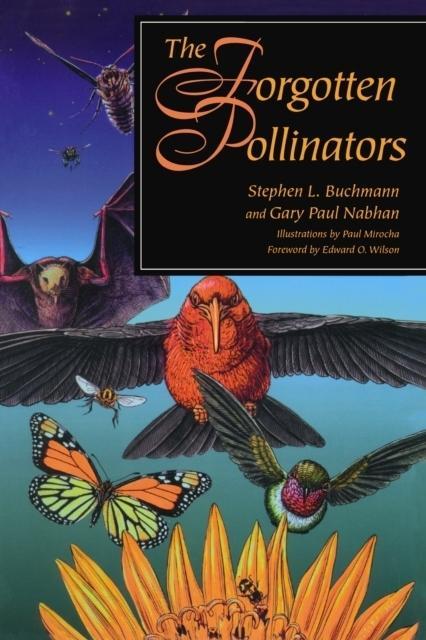 Forgotten Pollinators - Stephen L. Buchmann