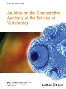 An Atlas on the Comparative Anatomy of the Retinae of Vertebrates als eBook von David T. Yew, Maria S. M. Wai, Winnie W. Y. Li - Bentham Science Publishers