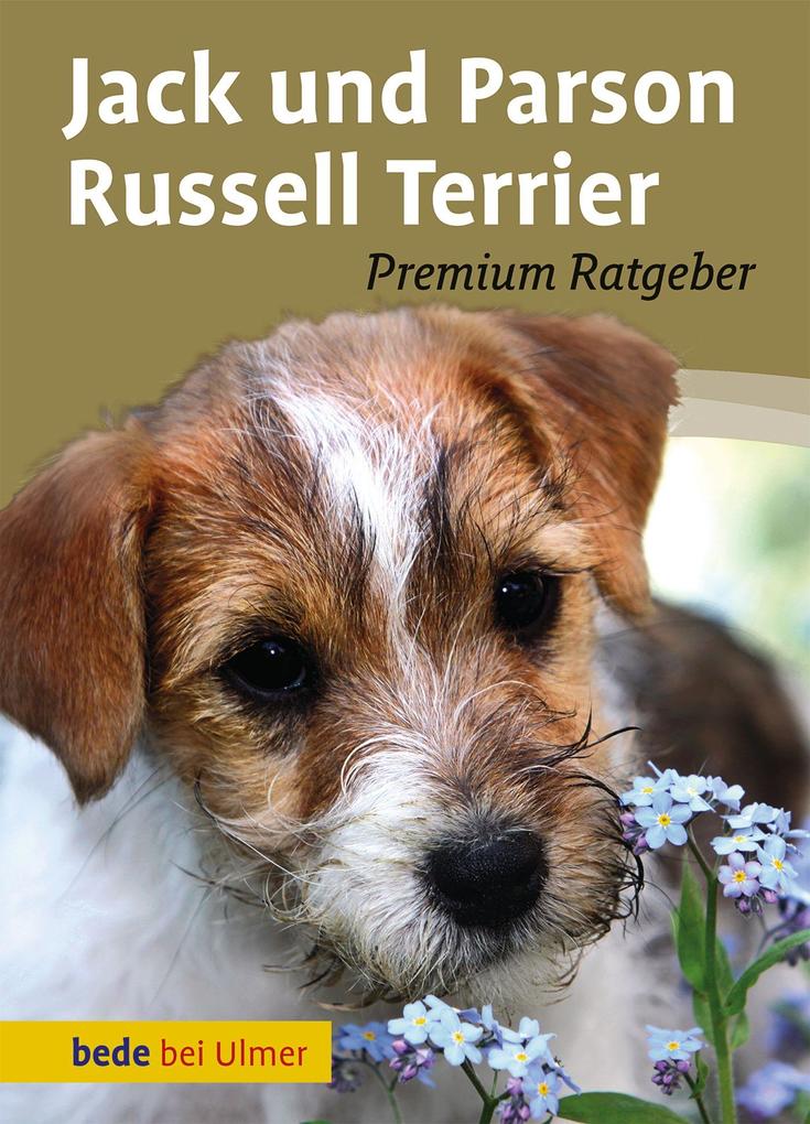 Jack und Parson Russell Terrier - Annette Schmitt