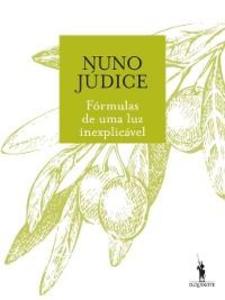 Fórmulas de Uma Luz Inexplicável als eBook von Nuno Júdice - D. Quixote