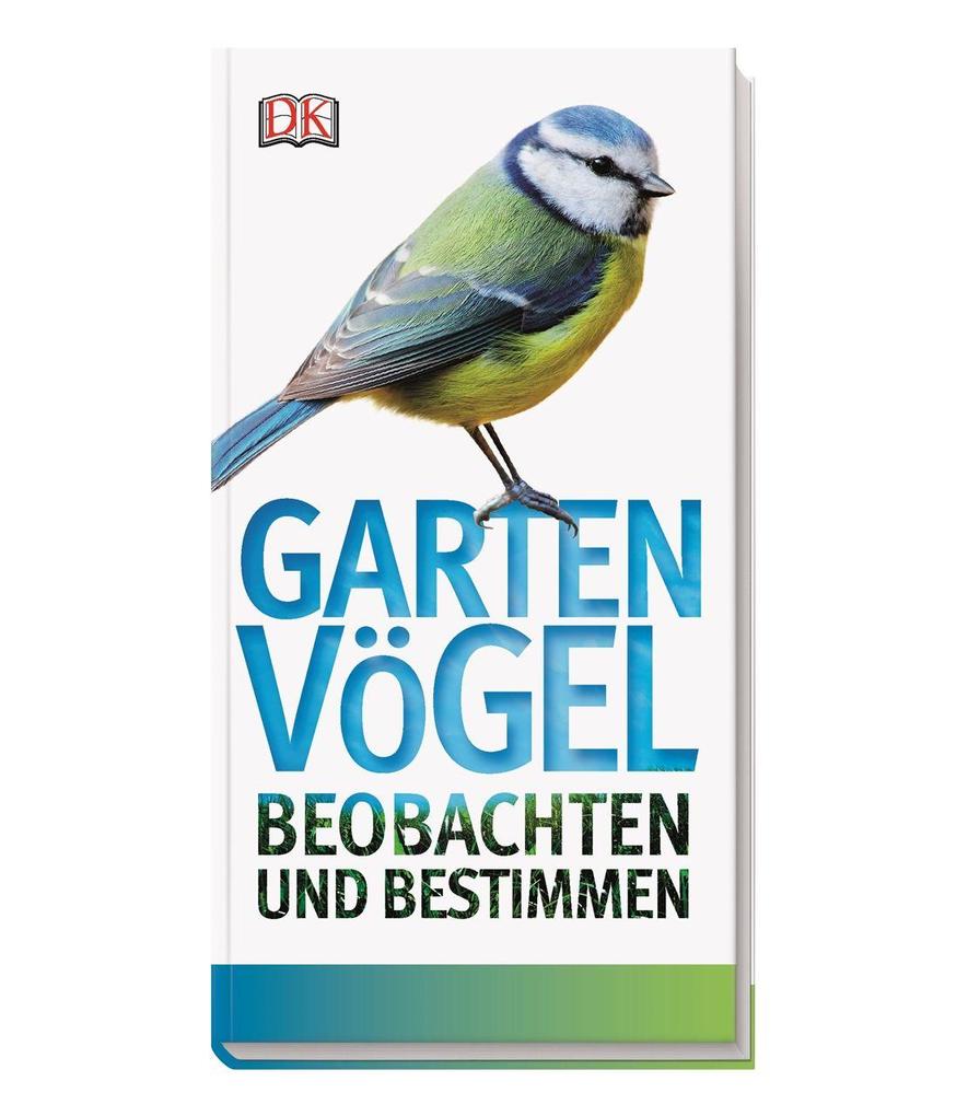 Dorling Kindersley Gartenvögel Beobachten Und Bestimmen, Ratgeber Von Dk Verlag, Mark Ward - Bild 3