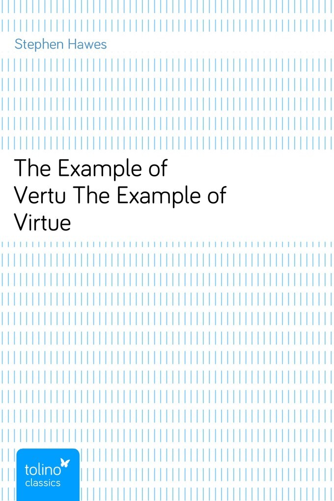 The Example of VertuThe Example of Virtue als eBook von Stephen Hawes - pubbles GmbH