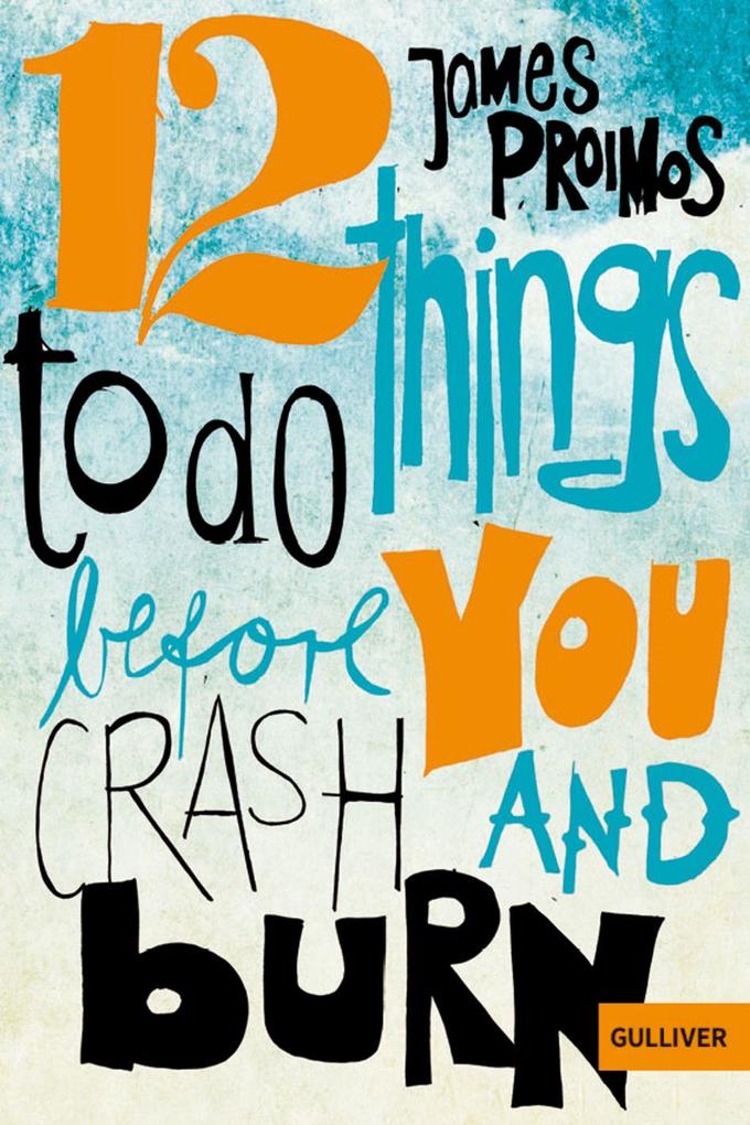 12 things to do before you crash and burn: Roman - Bild 4