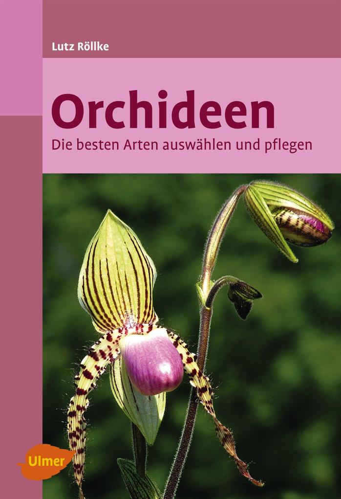 Orchideen: Die besten Arten auswählen und pflegen - Bild 5