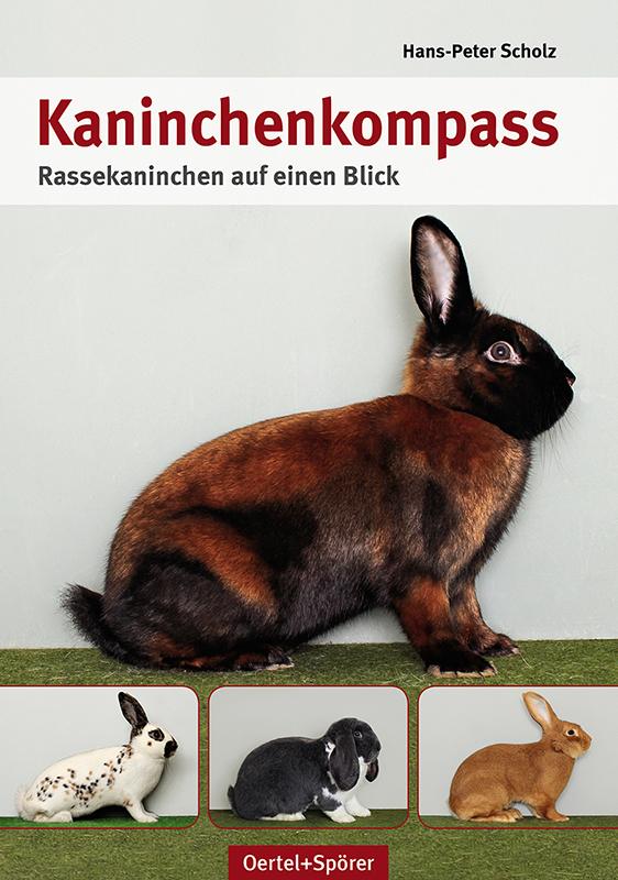 Kaninchen-Kompass: Rassekaninchen auf einen Blick - Bild 5