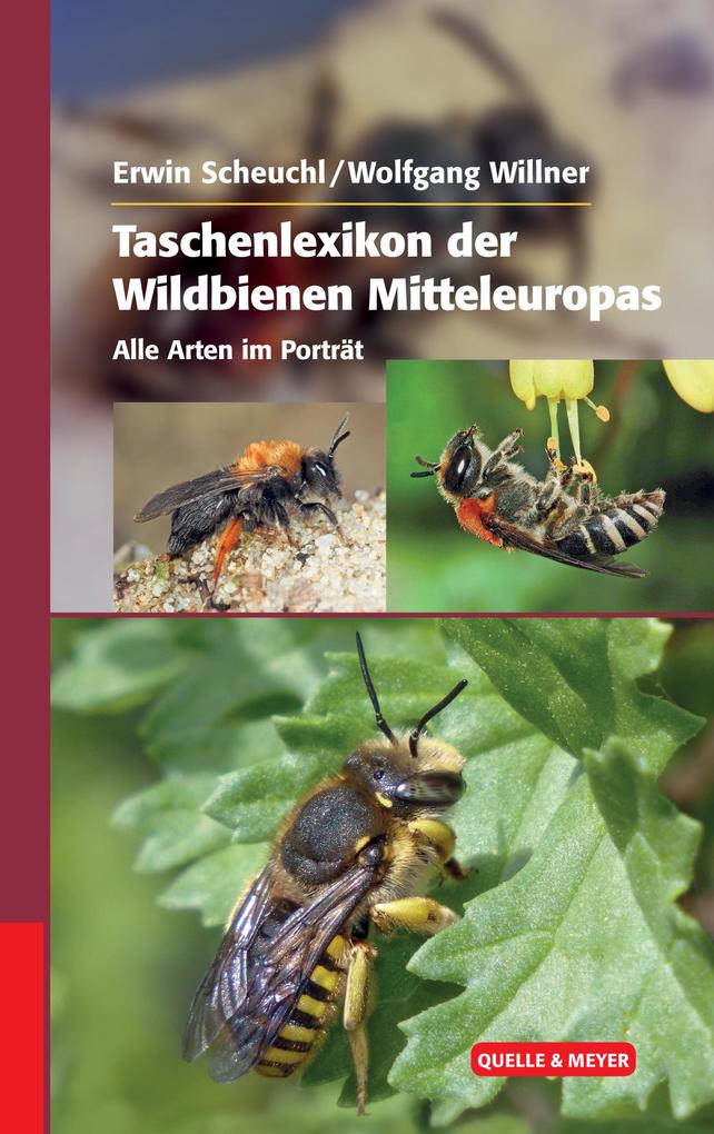 Quelle + Meyer Taschenlexikon Der Wildbienen Mitteleuropas - Bild 4