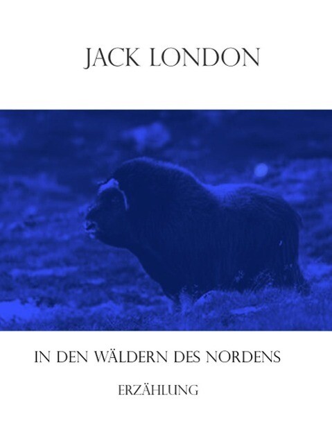 In den Wäldern des Nordens - Jack London