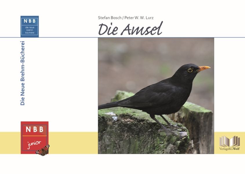 Kg Wolf Herren Die Amsel, Kinderbücher Von Peter W. W. Lurz, Stefan Bosch - Bild 4