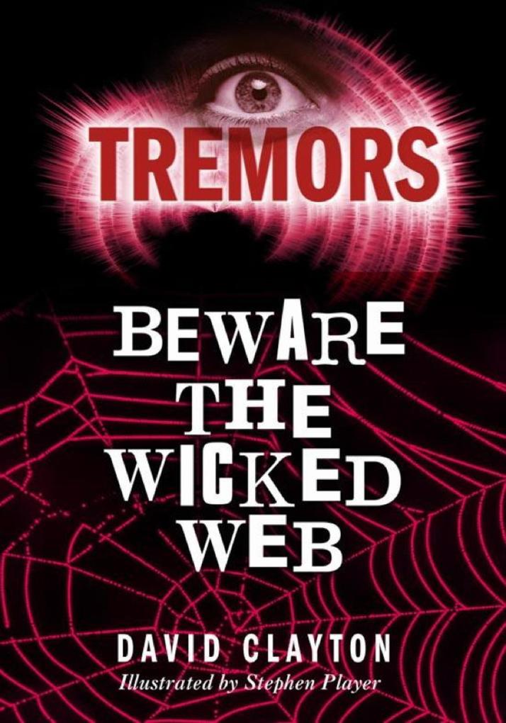 Beware The Wicked Web - Anthony Masters