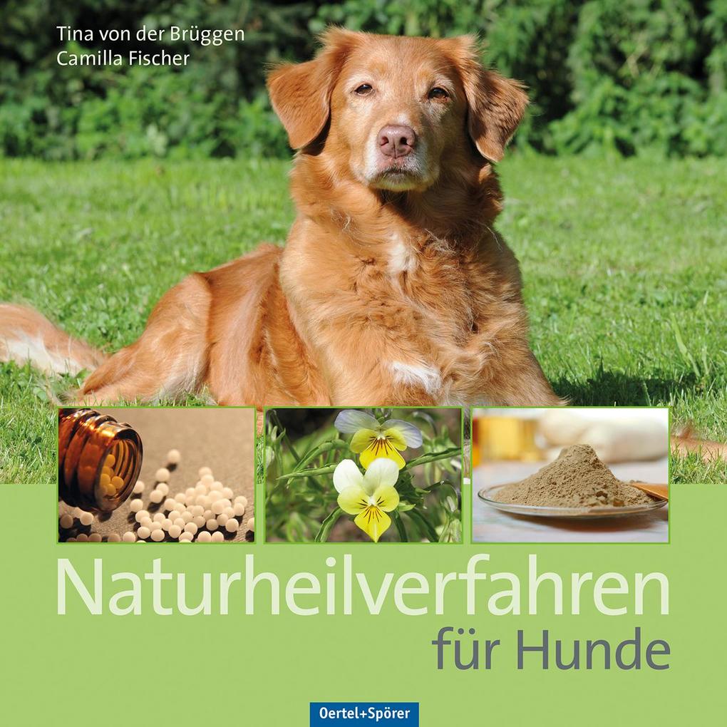 Naturheilverfahren für Hunde Camilla Fischer - Bild 6