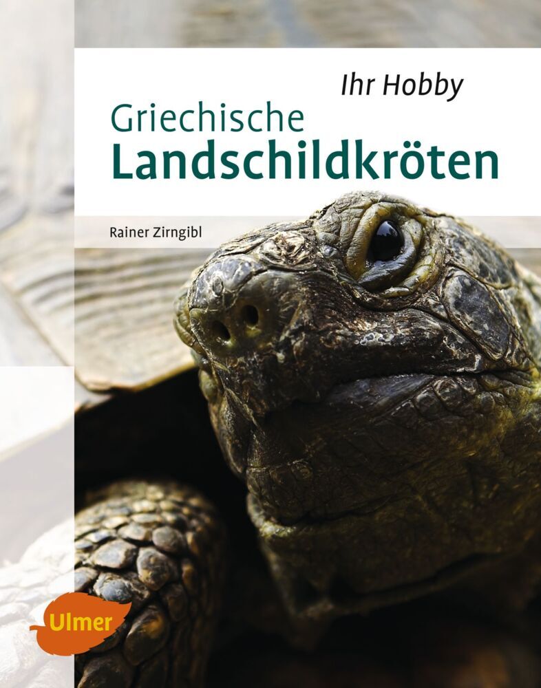 Griechische Landschildkröten - Rainer Zirngibl