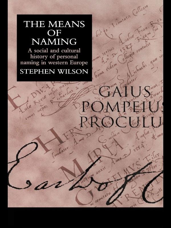 The Means Of Naming - Stephen Wilson