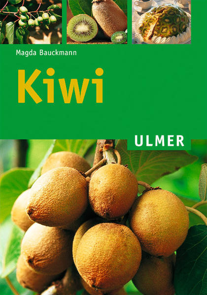 Kiwi - Magda Bauckmann