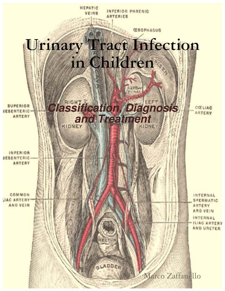 Urinary Tract Infection in Children - Classification Diagnosis and Treatment - Marco Zaffanello