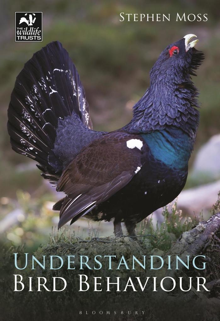 Understanding Bird Behaviour - Stephen Moss
