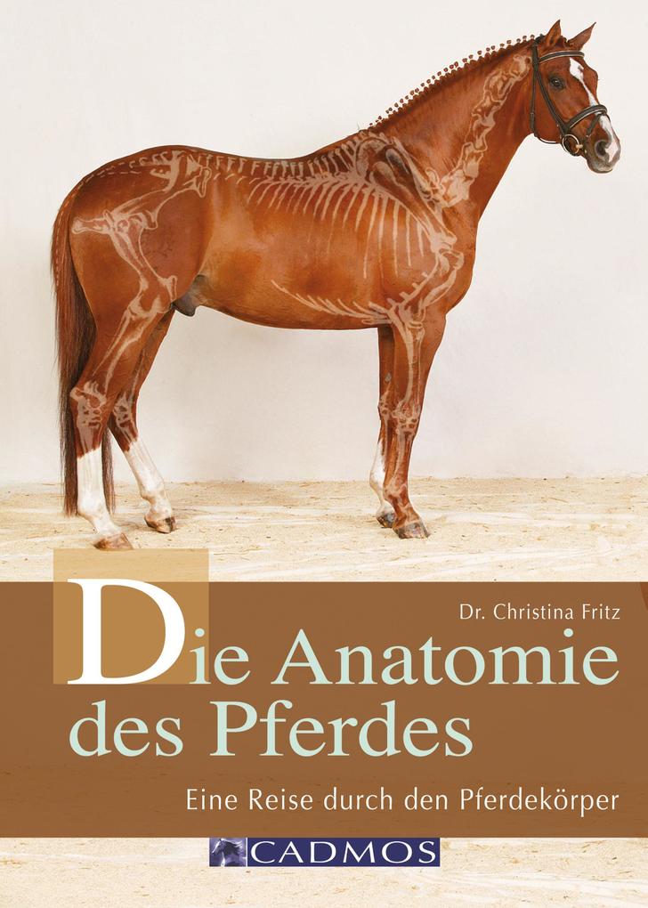 Die Anatomie des Pferdes - Christina Fritz