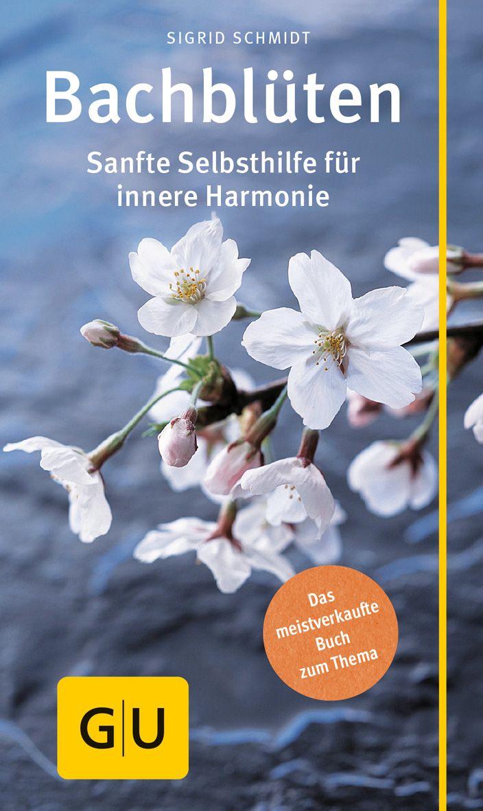 Bach-Blüten Sigrid Schmidt - Bild 6