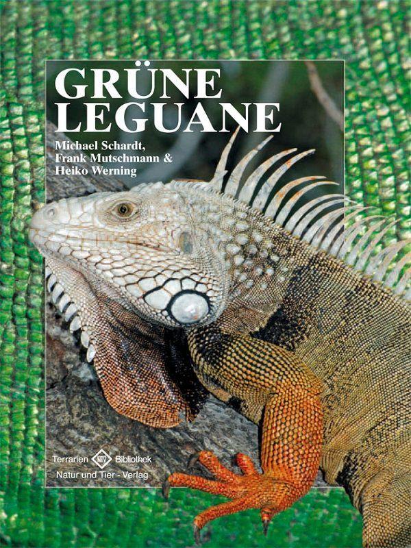 Ntv Natur Und Tier-Verlag Grüne Leguane - Bild 3