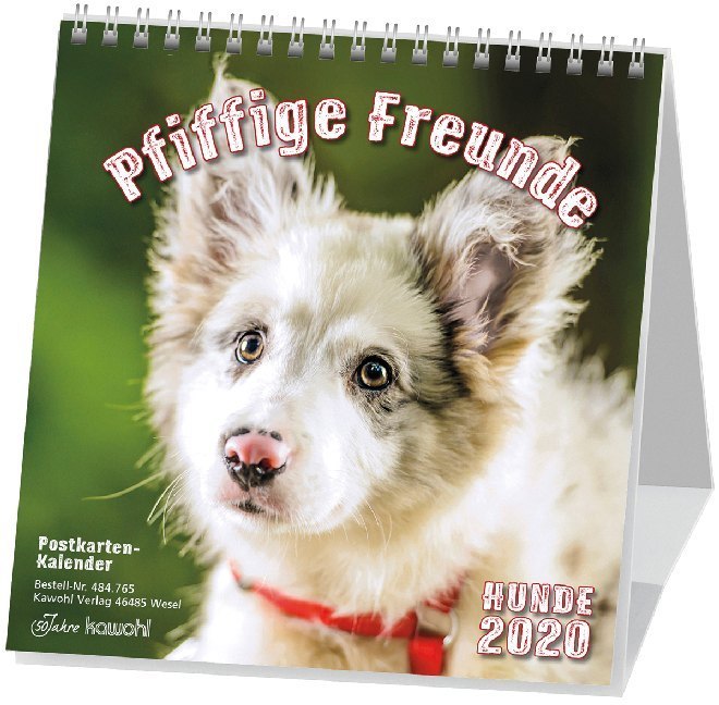 Pfiffige Freunde 2020. Postkarten-Kalender