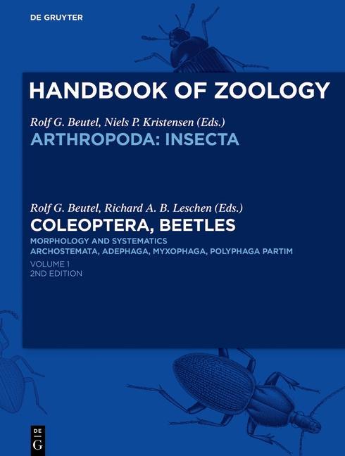 Coleoptera Beetles. Morphology and Systematics