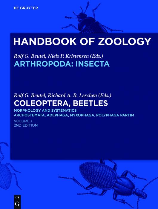 Coleoptera Beetles. Morphology and Systematics