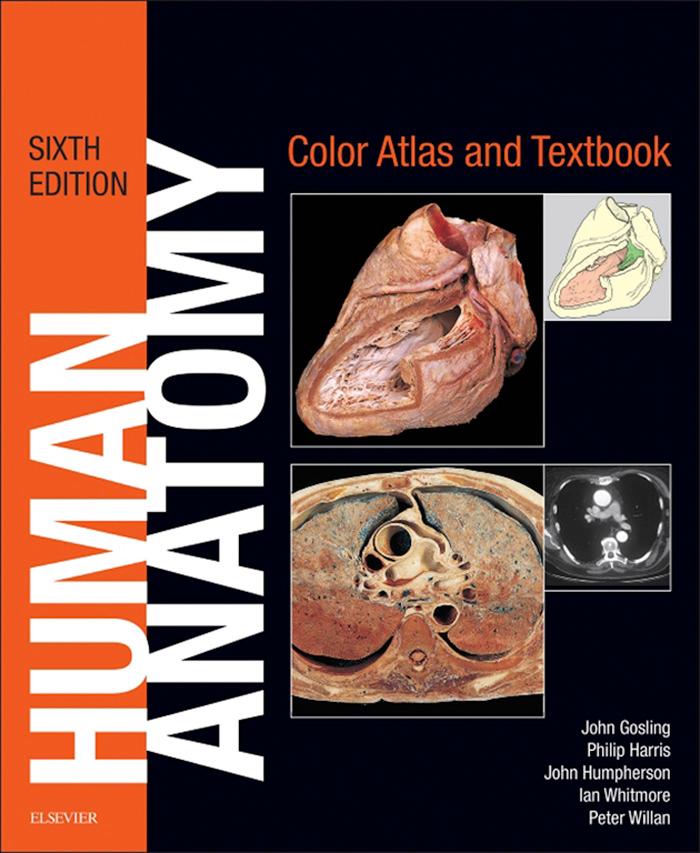 Human Anatomy Color Atlas and Textbook E-Book - John A. Gosling/ Philip F. Harris/ John R. Humpherson/ Ian Whitmore/ Peter L. T. Willan