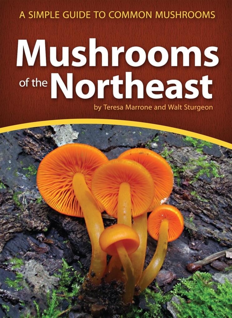 Mushrooms of the Northeast - Teresa Marrone/ Walt Sturgeon