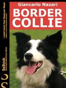 Border Collie als eBook von Giancarlo Nazari - Simonelli Editore