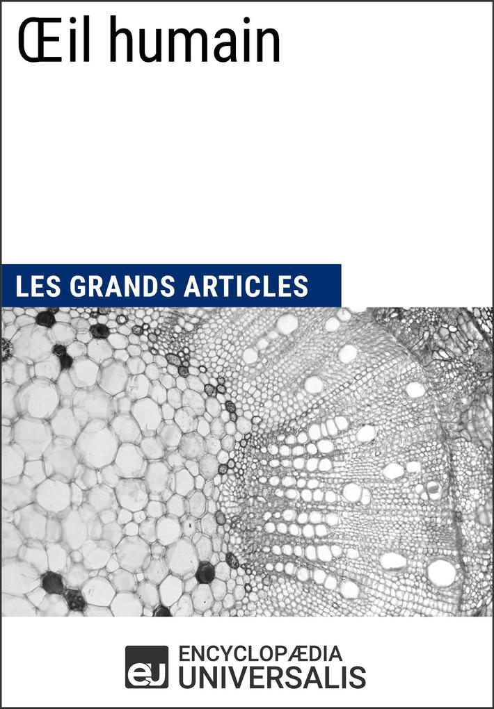 OEil humain - Encyclopaedia Universalis