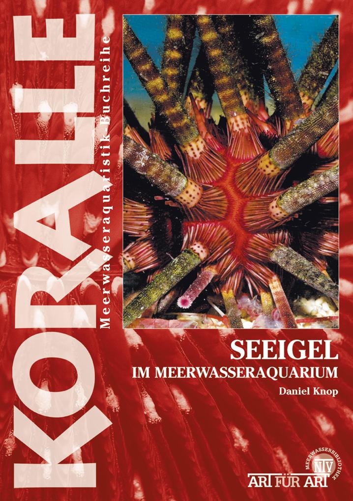 Seeigel im Meerwasseraquarium - Daniel Knop