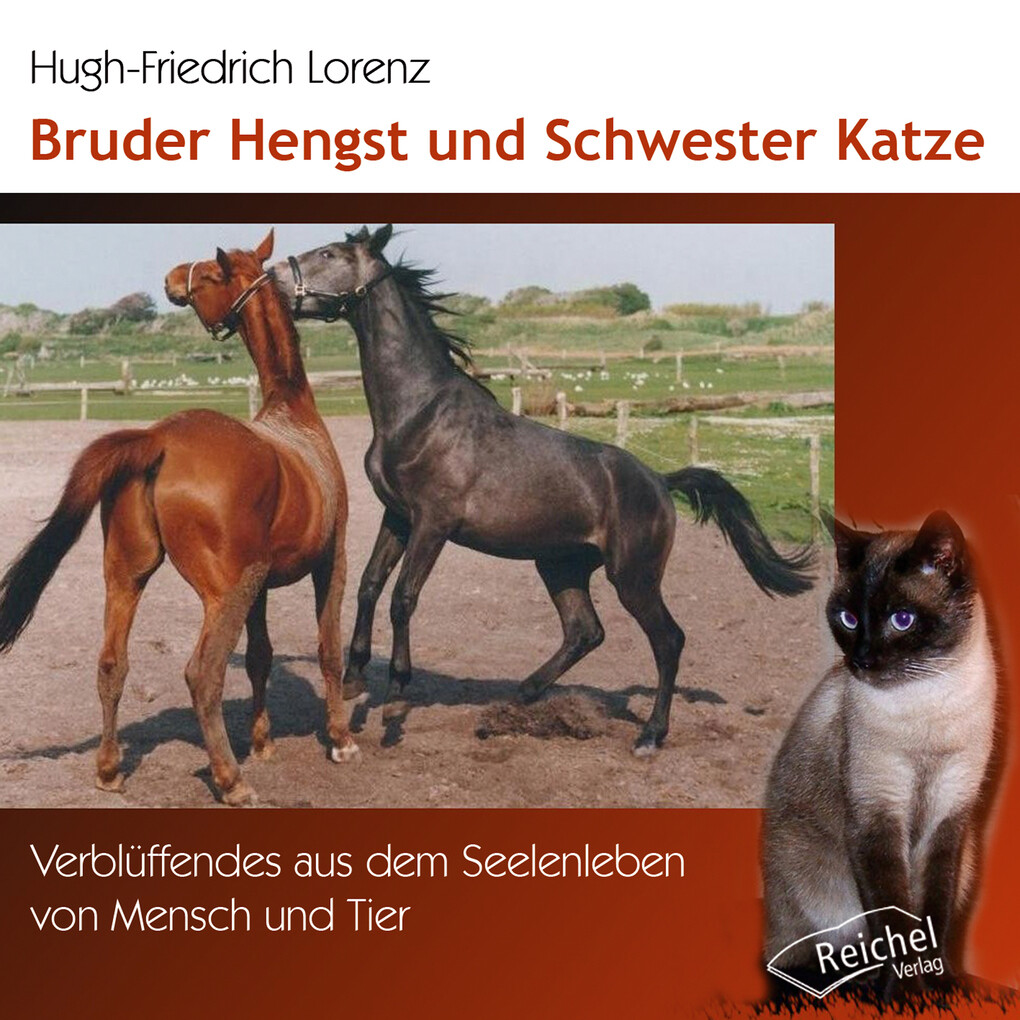 Bruder Hengst und Schwester Katze - Hugh-Friedrich Lorenz