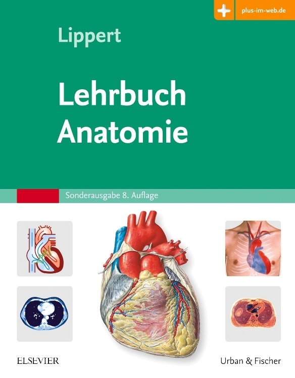 Lehrbuch Anatomie Herbert Lippert - Bild 4