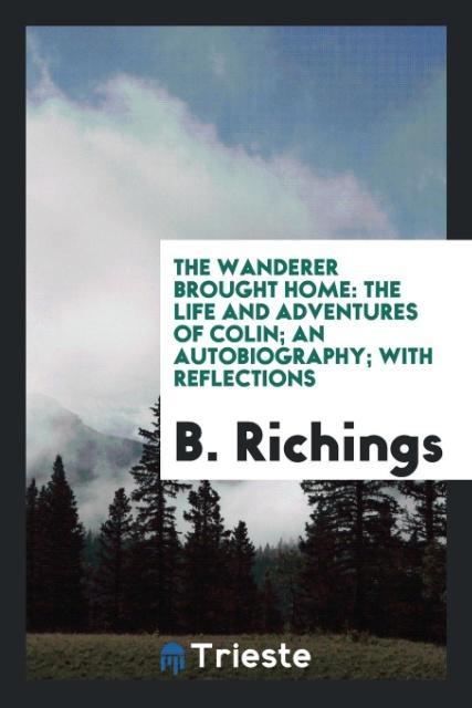 The Wanderer Brought Home als Taschenbuch von B. Richings - Trieste Publishing