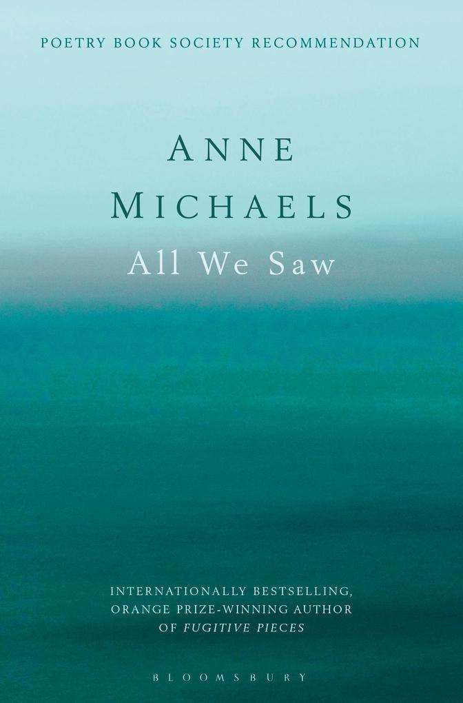 All We Saw - Anne Michaels