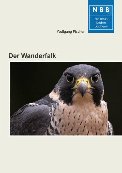 Wolf Verlagskg Der Wanderfalk - Bild 3