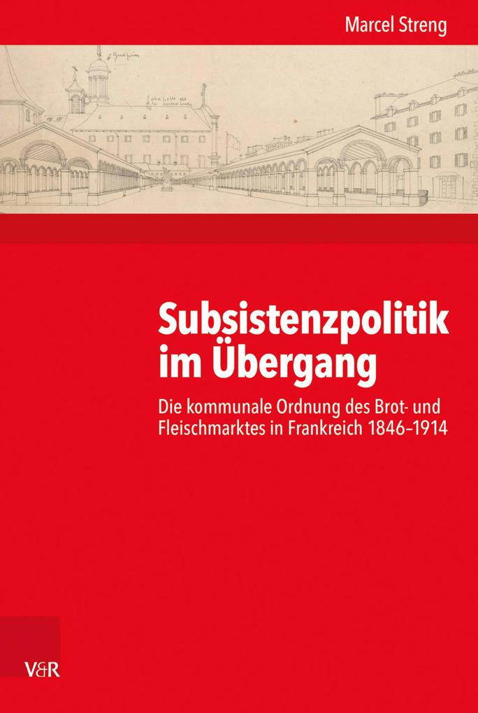 Subsistenzpolitik im Übergang - Marcel Streng