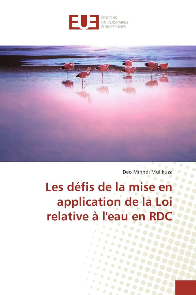 Les défis de la mise en application de la Loi relative à l´eau en RDC als Buch von Deo Mirindi Mulikuza