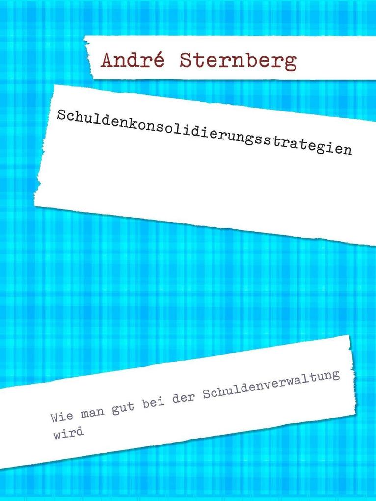 Schuldenkonsolidierungsstrategien - André Sternberg